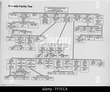 Arbre généalogique famille Kennedy ; Portée et contenu : Kennedy Family Tree à commencer par Joseph Patrick Kennedy. Banque D'Images