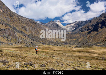 Trekking à travers la Cordillère Real mountain range, Bolivie Banque D'Images