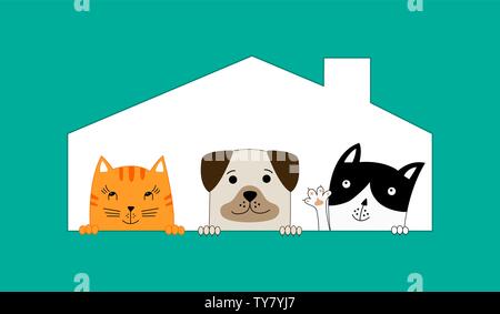 Deux chats et un chien assis dans leur chambre. Pet Shop. Chien drôle et cute cats meilleurs amis. Vector illustration. Illustration de Vecteur