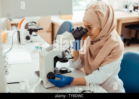 Femme musulmane intelligente en utilisant le microscope pour un travail Banque D'Images