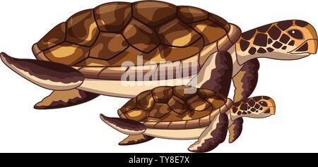 L'icône de tortue de mer deux cartoon Illustration de Vecteur