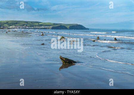 Des ruines d'anciennes scieries datant des années 4500, la surface après la tempête Hannah fait des ravages sur la côte galloise, Yayslas Ceredigion Pays de Galles UK Banque D'Images