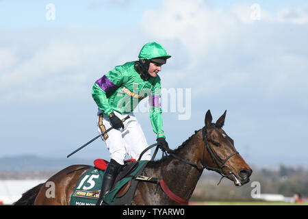 Jockey Liam Treadwell lève son bras comme il remporte le John Smith's Grand National 2009 sur son cheval de course Mon Mome à l'encontre de 100-1 à Aintree le samedi 04 avril 2009. (Photo d'UPI/Hugo Philpott) Banque D'Images