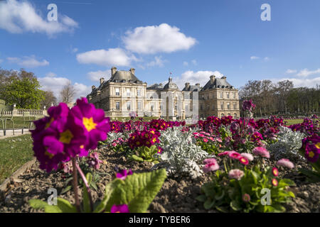 Bunte vor dem Frühlingsblumen Palais du Luxembourg, le Jardin du Luxembourg, Paris, Frankreich | printemps coloré fleurs au Palais du Luxembourg, le Jardin du Luxembourg Jardin du Luxembourg, Paris, France | dans le monde entier Banque D'Images