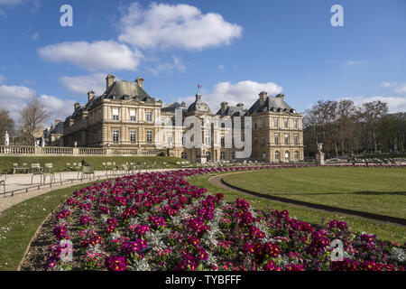 Bunte vor dem Frühlingsblumen Palais du Luxembourg, le Jardin du Luxembourg, Paris, Frankreich | printemps coloré fleurs au Palais du Luxembourg, le Jardin du Luxembourg Jardin du Luxembourg, Paris, France | dans le monde entier Banque D'Images