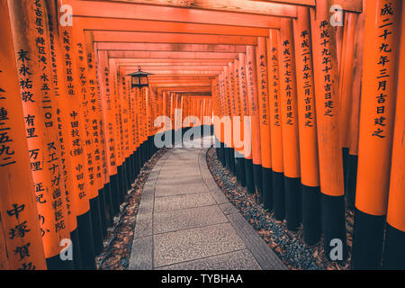 Sanctuaire Fushimi Inari est un important sanctuaire Shinto dans le sud de Kyoto, au Japon. Il est célèbre pour ses milliers de torii vermillon, gates qui chevauchent une Banque D'Images