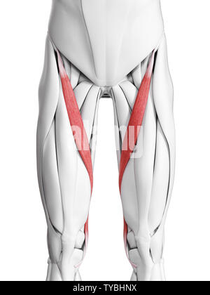 Médicalement en rendu 3d illustration de l'exacte balance Sartorius Banque D'Images