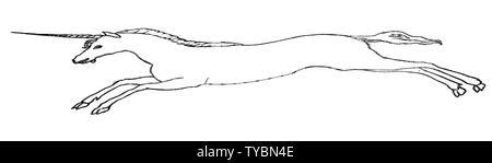 Contours croquis d'un unicorn blanc sur fond blanc Banque D'Images