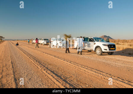 Jeep et Land Rover safari voyageant sur un chemin de terre, la Namibie Banque D'Images