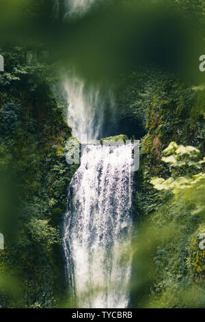 Multnomah Falls, Oregon, United States of America. Comme une cascade magnifique et mémorable que tout dans le pays est situé à seulement 30 minutes de route de l'or Banque D'Images