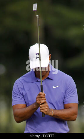 Tiger Woods réagit à un birdie putt manqué sur le 11e trou lors du premier tour de la 96e Championnat de la PGA à Valhalla Country Club le 7 août 2014 à Louisville, Kentucky. UPI/Frank Polich Banque D'Images