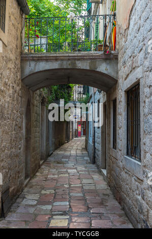 Alley, vieille ville, site du patrimoine mondial de l'UNESCO, Kotor, Monténégro Banque D'Images