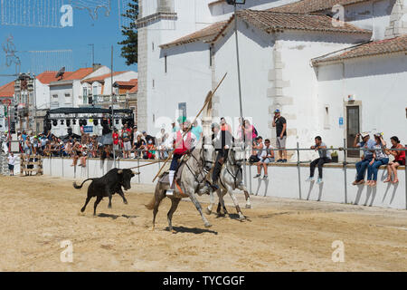 Taureaux sauvages en marche et l'essence au plomb par des cavaliers dans les rues, Festas do Barrete Verde e das Salinas, Alcochete, Setubal, Portugal Province Banque D'Images