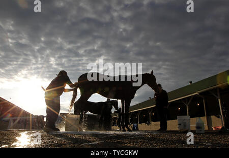 Les chevaux sont lavés par leurs palefreniers après les entraînements tôt le matin à Churchill Downs à Louisville, Kentucky, le 3 mai 2017. Les formateurs sont la préparation de leurs chevaux pour la 143e exécution du Kentucky Derby qui aura lieu à l'hippodrome de Churchill Downs le 6 mai. Photo de John Sommers II/UPI Banque D'Images