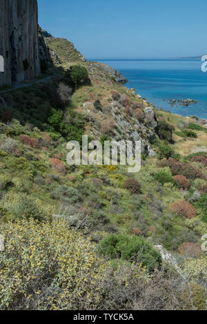 Mur d'escalade, côte près de Plakias, plakias, Crète, mer ionienne, Grèce, Europe Banque D'Images