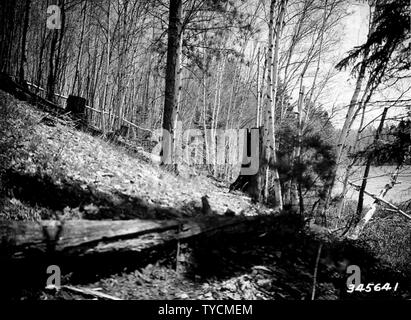 Photographie de McKinley Lake du point B à la East ; Portée et contenu : sous-titre original : McKinley Lake du point B à l'Est, montrant le type de couvercle sur le haut plateau à côté du lac. Banque D'Images