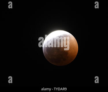 La lune de la terre plane dans le ciel au-dessus de Melbourne, en Floride comme il est éclipsé par la nuit des 20 et 21 janvier 2019. C'est la seule éclipse lunaire de se produire cette année qui sera visible sur l'Amérique du Nord. L'orbite lunaire était en plus près de la terre et les astronomes appellent l'événement une 'Superbe Blood Wolf Moon'. Une éclipse lunaire se produit lorsque l'orbite de la lune s'aligne directement derrière la terre comme elle est en orbite autour du soleil. .Photo par Joe Marino/UPI Banque D'Images