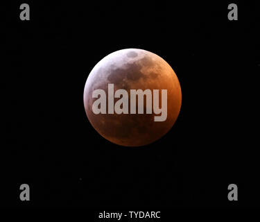 La lune de la terre plane dans le ciel au-dessus de Melbourne, en Floride comme il est éclipsé par la nuit des 20 et 21 janvier 2019. C'est la seule éclipse lunaire de se produire cette année qui sera visible sur l'Amérique du Nord. L'orbite lunaire était en plus près de la terre et les astronomes appellent l'événement une 'Superbe Blood Wolf Moon'. Une éclipse lunaire se produit lorsque l'orbite de la lune s'aligne directement derrière la terre comme elle est en orbite autour du soleil. .Photo par Joe Marino/UPI Banque D'Images