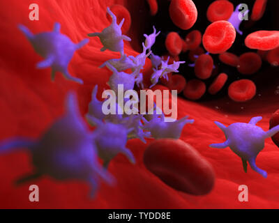 Médicalement en rendu 3d illustration de précision les plaquettes active Banque D'Images
