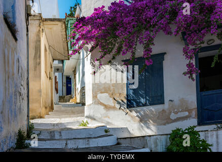 A Street dans la ville de Skopelos, Sporades du Nord de la Grèce. Banque D'Images