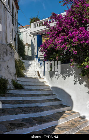 Une rue à épaulement à Skopelos, Sporades du Nord de la Grèce. Banque D'Images