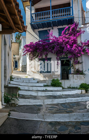 A Street dans la ville de Skopelos, Sporades du Nord, Grèce Banque D'Images