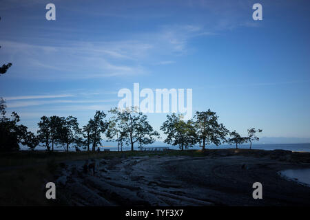 La plage sur l'île de Newcastle est facilement accessible en canoë ou kayak de Nanaimo, en Colombie-Britannique. Banque D'Images