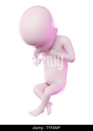 Rendu 3d illustration d'un foetus de la semaine 18 Banque D'Images