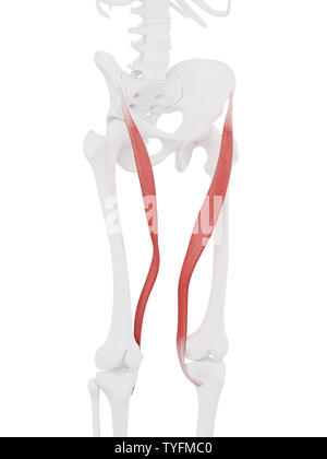 Médicalement en rendu 3d illustration de l'exacte balance Sartorius Banque D'Images