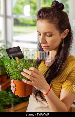 Fleuriste concentré en prenant soin d'une plante. Banque D'Images