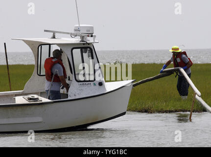 Lieu de pêcheurs-absorbants d'huile dans les marais de Saint Bernard parois alors que les efforts visant à poursuivre la lutte contre l'énorme BP marée noire dans le golfe du Mexique. Pendant que les ingénieurs d'essayer de brancher le bien en eau profonde, les équipes s'emploient à protéger les marais de Louisiane fragile l'étalement lisse. UPI/A.J. Sisco.. Banque D'Images