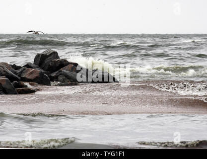 Une mouette survole une vague de pétrole près de Grand Isle State Park en Louisiane le 4 juin 2010. L'huile a été fuit dans le golfe du Mexique depuis plus d'un mois depuis une explosion massive sur la plate-forme pétrolière Deepwater Horizon de BP. UPI/A.J. Sisco. Banque D'Images