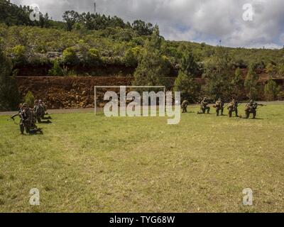 Les Marines américains avec Peloton de Génie de Combat, Groupe de travail Koa Moana 16-4, assurer la sécurité avant de le charger dans une armée de l'air en hélicoptère Hélicoptère de prune, de Nouvelle Calédonie, le 7 novembre 2016. Croix du Sud est un multi-national, l'aide humanitaire et secours en cas de catastrophe l'opération d'évacuation des non-combattants, mené tous les deux ans pour préparer unies dans l'éventualité d'un cyclone dans le Pacifique Sud. L'exercice Moana Koa cherche à accroître les engagements entre Leader et les nations partenaires alliés dans le Pacifique avec un intérêt collectif dans des relations militaires. Banque D'Images