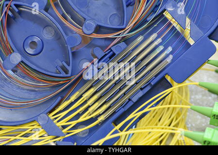 Plateau d'épissure de fibre optique Banque D'Images