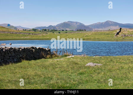 Vue sur Tewet Tarn au printemps été près de Keswick Lake District National Park Cumbria Angleterre Royaume-Uni Grande-Bretagne Banque D'Images