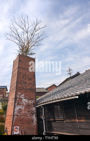 Arbre qui pousse hors de la cheminée à la poterie Tokoname sentier, situé à proximité de l'aéroport international de Chubu Centrair Nagoya. Banque D'Images