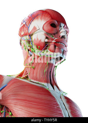 Rendu 3d illustration d'un mans Banque D'Images