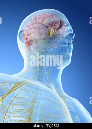 Rendu 3d illustration d'un mans Banque D'Images