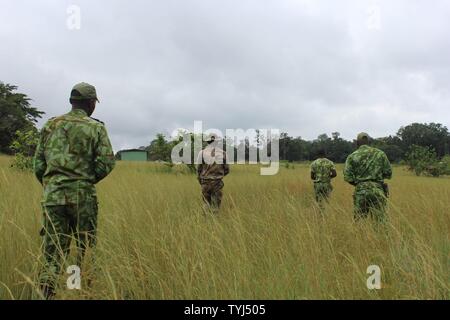 Les membres des Forces armées de la République gabonaise et les Parcs Nationaux de l'Agence pour effectuer les opérations de patrouille pendant une contre le trafic illicite d'Mokekou au Camp bien sûr, le Gabon, le 10 novembre 2016. Le collaborative 5 semaines de cours, dirigée par une équipe de Marines américains affectés à des fins Maritime Aérien Au sol, Response-Africa Force-Crisis tâche était la première d'une série de formation des formateurs, des cours de développement cadre de style destiné à renforcer et à accroître les compétences en leadership nécessaires pour interdire le trafic illicite. Banque D'Images