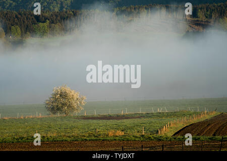 Paysage brumeux, près de Oberweser Weser, Hautes terres, Thuringe, Hesse, Allemagne Banque D'Images