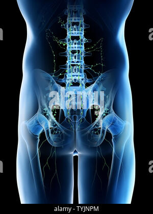 Rendu 3d illustration d'un mans ganglions lymphatiques pelviens Banque D'Images