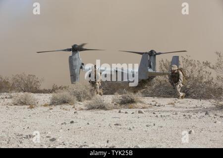 U.S. Marine Corps VM-22B Osprey affectés à l'escadron 162 à rotors basculants moyen maritime, 2e escadre aérienne de la Marine, Marine Air Group 26, effectuer un raid longue distance dans le cadre d'un exercice en milieu urbain, de Twentynine Palms, Californie à Yuma (Arizona), le 12 novembre 2016. Les Marines de l'escadron 162 à rotors basculants moyen Marine a mené un raid à longue portée conjointement avec la Compagnie Alpha, 1er Bataillon, 2e Régiment de Marines, 2e Division de Marines durant un exercice en milieu urbain, dans le cadre de l'exercice de formation intégrée (ITX) 1-17 en préparation de la Marine à des fins spéciales du Groupe de travail air-sol. Banque D'Images