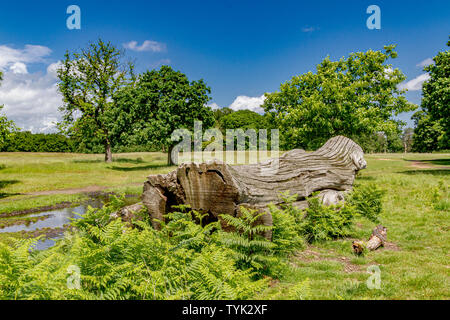 Un tronc d'arbre mort se trouve entre la fougère au Richmond Park à Londres Banque D'Images