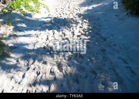 Sable occupé chemin menant vers la plage avec de nombreux pieds empreintes laissées par les touristes désireux peuvent symboliser destination populaire de vacances Banque D'Images