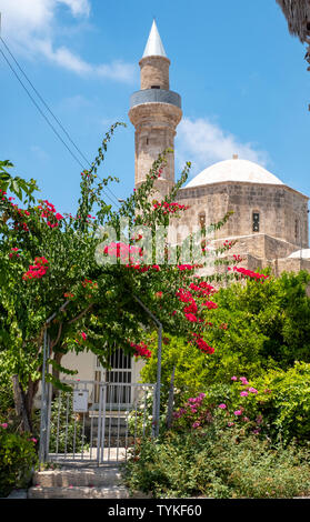 Mosquée Camii-Kebir à Pafos, Chypre de la vieille ville. Banque D'Images