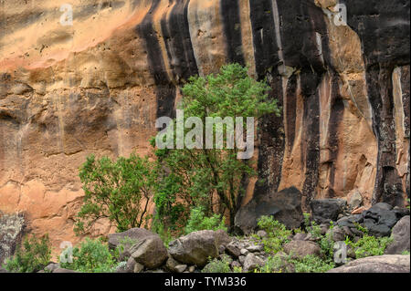 Afrique ; Afrique du Nord ; Afrique ; ; Serin de KwaZulu-Natal ; Parc National Royal Natal, canyon Banque D'Images