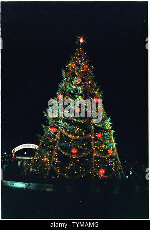 1978 l'arbre de Noël National ; Portée et contenu : le 1978 U.S. National Arbre de Noël, illuminé par 1 600 watts lampes basse-d'or, courts avec de l'or spots, et décorés avec de l'or et 50 large red garland ornements. Cet arbre a été planté le 11 octobre 1978, et a remplacé l'arbre planté en 1977 (qui avait été renversé et tué par des vents violents dans une tempête le 26 janvier 1978). Cet arbre a vécu jusqu'en 1978, 19 février 2011, lorsque son tronc cassé dans une tempête qui contenait des rafales jusqu'à 80 km/h (50 mph). Banque D'Images