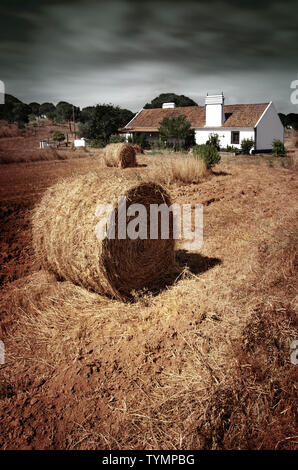 Rouleau de foin doré dans un domaine rural avec maison typique et arbres Banque D'Images