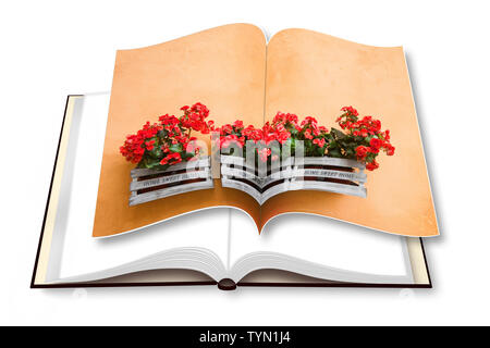 Boîte en bois de fleurs contre un mur de plâtre - le rendu 3D photo album concept image - je suis le propriétaire de copyright des images utilisées dans ce 3D render Banque D'Images