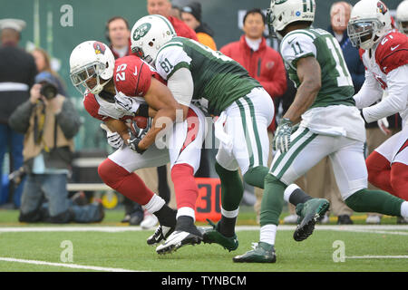 Arizona Cardinals gratuit à la Kerry Rhodes (25)intercepte une passe destinée à New York Jets tight end Dustin Keller (81) dans le premier trimestre au cours de la semaine 13 de la saison NFL à MetLife Stadium à East Rutherford, New Jersey le 2 décembre 2012. UPI/Riche Kane Banque D'Images